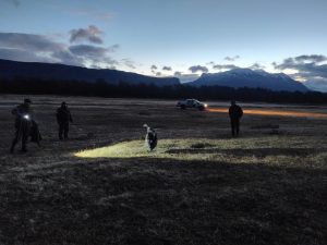 El Consejo Agrario Provincial participó del rescate de un cóndor en la zona del Paso Río Mayer
