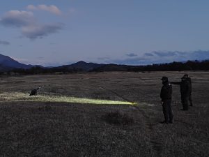 El Consejo Agrario Provincial participó del rescate de un cóndor en la zona del Paso Río Mayer