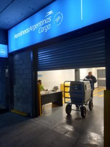 El Consejo Agrario Provincial participó del rescate de un cóndor en la zona del Paso Río Mayer