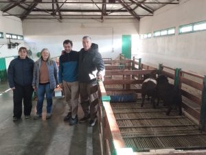 El Consejo Agrario Provincial gestiona la incorporación de nueva genética ovina a la Escuela Agropecuaria de Gobernador Gregores