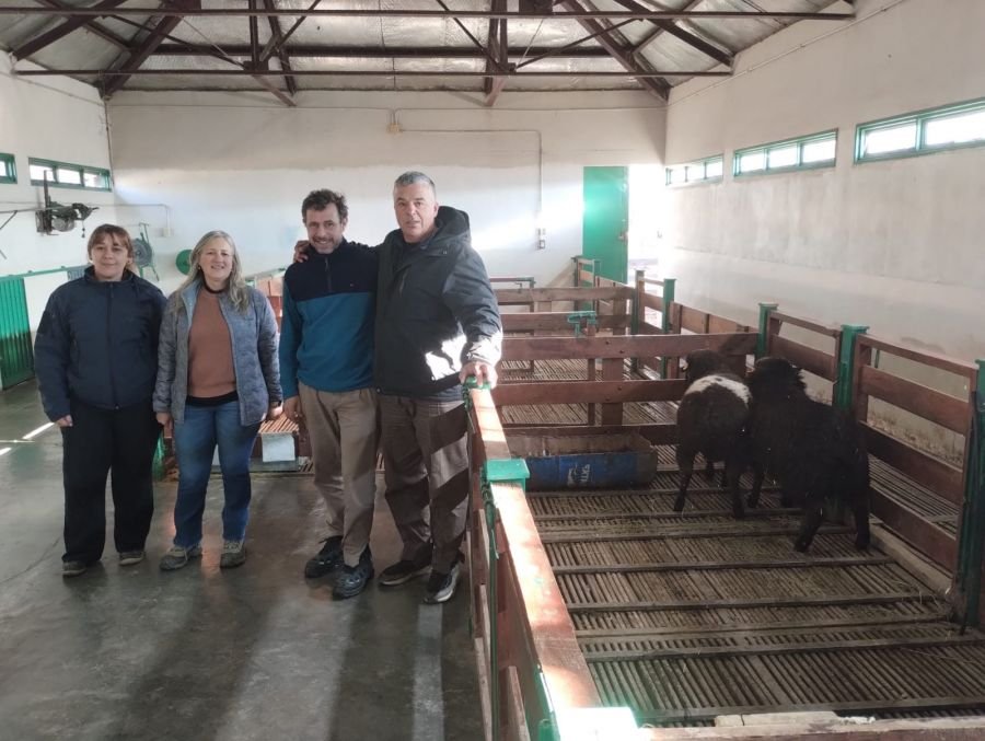 El Consejo Agrario Provincial gestiona la incorporación de nueva genética ovina a la Escuela Agropecuaria de Gobernador Gregores