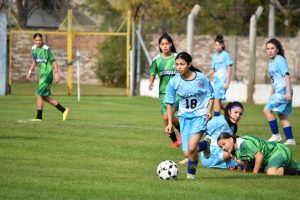 Juegos de la Patagonia: Santa Cruz suma medallas y busca un lugar en el podio patagónico