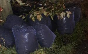 “Compostando en otoño”: Activa participación de los municipios de Río Turbio y Puerto Deseado