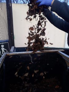 “Compostando en otoño”: Activa participación de los municipios de Río Turbio y Puerto Deseado