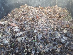 “Compostando en otoño”: Activa participación de los municipios de Río Turbio y Puerto Deseado