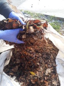 “Compostando en otoño”: Activa participación de los municipios de Río Turbio y Puerto Deseado