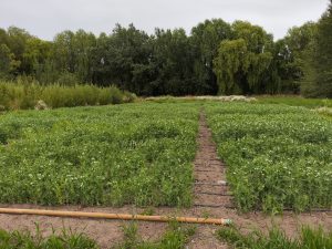 El Consejo Agrario Provincial presentó el Plan MIL AGRO a productores de Gobernador Gregores