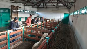 El CAP entregó alimento balanceado a la Escuela Agropecuaria Provincial N°1 de Gobernador Gregores