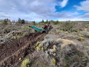 El Consejo Agrario Provincial impulsó una jornada de forestación en Los Antiguos