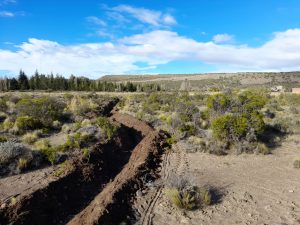 El Consejo Agrario Provincial impulsó una jornada de forestación en Los Antiguos