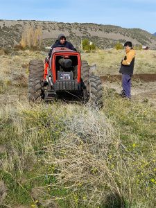El Consejo Agrario Provincial impulsó una jornada de forestación en Los Antiguos