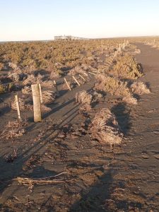 Grave daño en la pingüinera de Cabo Vírgenes: el Consejo Agrario llama a la colaboración comunitaria