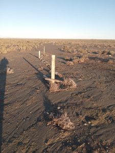 Grave daño en la pingüinera de Cabo Vírgenes: el Consejo Agrario llama a la colaboración comunitaria