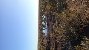 Grave daño en la pingüinera de Cabo Vírgenes: el Consejo Agrario llama a la colaboración comunitaria