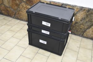 En el Día Mundial del Ambiente se rinde homenaje a la naturaleza con un Escenario Verde