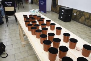 En el Día Mundial del Ambiente se rinde homenaje a la naturaleza con un Escenario Verde