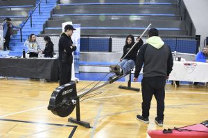 En el Día Mundial del Ambiente se rinde homenaje a la naturaleza con un Escenario Verde
