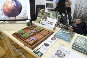 En el Día Mundial del Ambiente se rinde homenaje a la naturaleza con un Escenario Verde