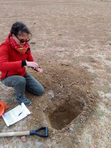 Informan la exitosa finalización del programa inicial de exploración en Proyecto minero El Águila