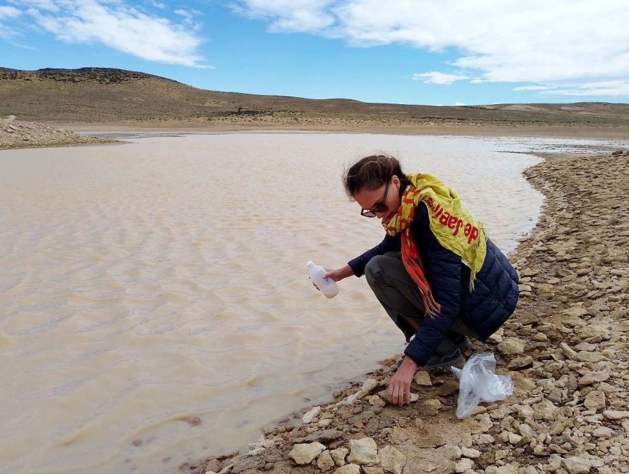 Informan la exitosa finalización del programa inicial de exploración en Proyecto minero El Águila