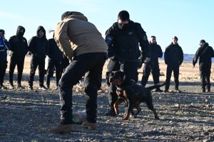 Capacitación en Santa Cruz: fortalecen el vínculo entre fuerzas de seguridad y unidades K9