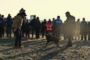 Capacitación en Santa Cruz: fortalecen el vínculo entre fuerzas de seguridad y unidades K9