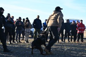 Capacitación en Santa Cruz: fortalecen el vínculo entre fuerzas de seguridad y unidades K9