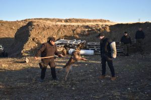 Capacitación en Santa Cruz: fortalecen el vínculo entre fuerzas de seguridad y unidades K9