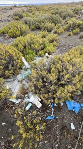 Ambiente participó de una limpieza en el Día Mundial de los Océanos