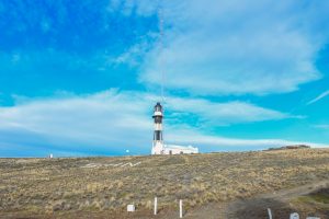 Energización de Cabo Vírgenes: una obra clave para una reserva natural con 121 años de historia