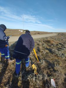 Energización de Cabo Vírgenes: una obra clave para una reserva natural con 121 años de historia