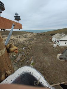 Energización de Cabo Vírgenes: una obra clave para una reserva natural con 121 años de historia