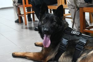 Realizaron el acto de cierre y entregaron certificación del Curso de Guías Caninos Detectores
