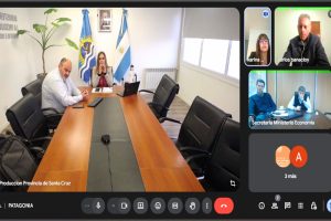 Santa Cruz participó de una reunión interprovincial por el impacto de la nueva resolución sobre la barrera sanitaria