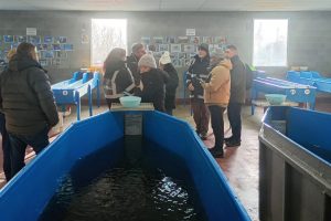 Santa Cruz calificó para ser auditada por organismos internacionales en acuicultura