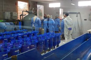 Santa Cruz calificó para ser auditada por organismos internacionales en acuicultura