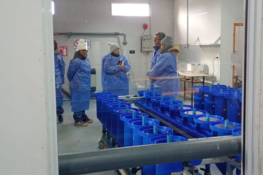 Santa Cruz calificó para ser auditada por organismos internacionales en acuicultura