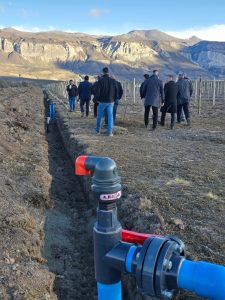 Vidal recorrió el proyecto vitivinícola que impulsa el Consejo Agrario Provincial en Lago Posadas