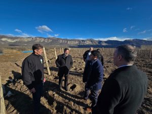 Vidal recorrió el proyecto vitivinícola que impulsa el Consejo Agrario Provincial en Lago Posadas