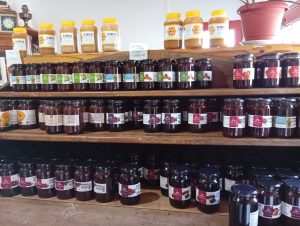 Los Antiguos: El ministro Nicolás Brizuela acompañó una jornada de trabajo para fortalecer el desarrollo local