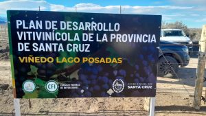 Santa Cruz ya tiene su propio viñedo en Lago Posadas
