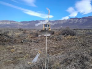 Santa Cruz ya tiene su propio viñedo en Lago Posadas