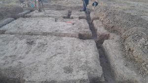 Santa Cruz ya tiene su propio viñedo en Lago Posadas