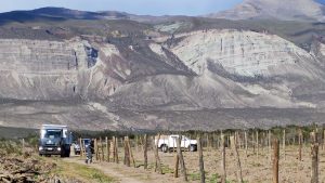 Santa Cruz ya tiene su propio viñedo en Lago Posadas