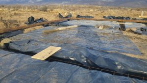 Santa Cruz ya tiene su propio viñedo en Lago Posadas