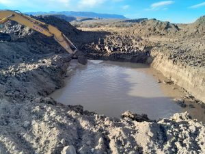 Santa Cruz ya tiene su propio viñedo en Lago Posadas