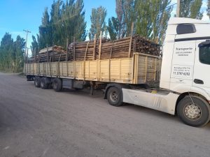 Santa Cruz ya tiene su propio viñedo en Lago Posadas