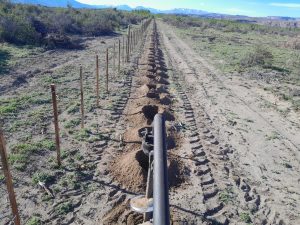 Santa Cruz ya tiene su propio viñedo en Lago Posadas