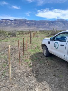 Santa Cruz ya tiene su propio viñedo en Lago Posadas
