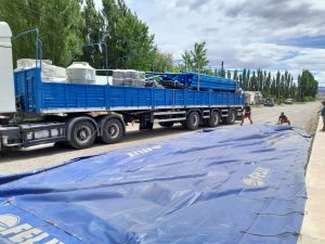 Santa Cruz ya tiene su propio viñedo en Lago Posadas